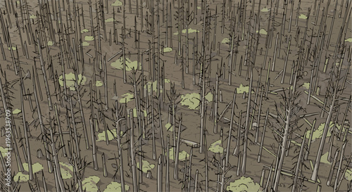 Sparse, dead trees with scattered green foliage in a dry, barren landscape