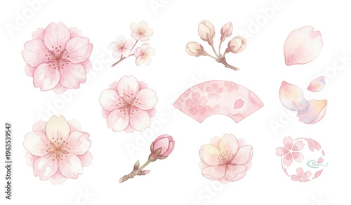 Watercolor Cherry Blossom Clipart Set — 11 Sakura Flower & Petal Elements PNG SVG Vector Illustration