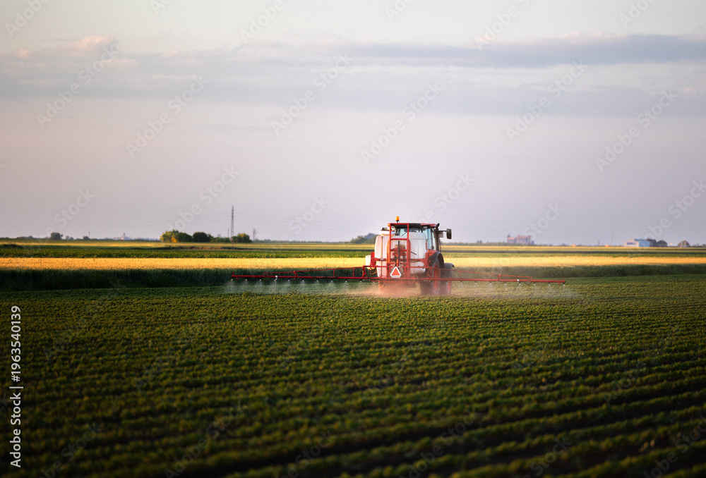 Fototapeta premium Agricultural machinery sprays crops with pesticide.