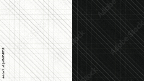 Geometric pattern with diagonal lines forming a modern grid, split white and black. Minimalist monochrome abstract texture for sophisticated backgrounds, digital art, web design, textile
