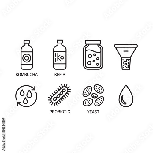 Line art icons representing kombucha kefir probiotics and fermentation processes