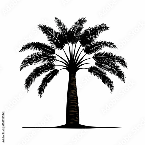 Palm Tree Silhouette Isolated on White Background.