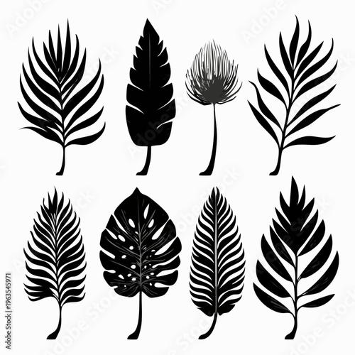 Collection of Various Black Leaf Silhouettes.