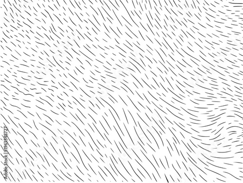 Abstract Black Wavy Lines Pattern White Background Minimalist Organic Texture