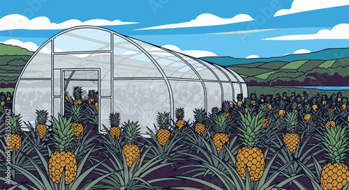 Pineapple field in front of a greenhouse with rolling hills and water