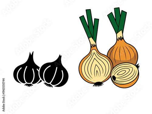 Styles of onions depicted whole and cut in half with green tops and a black silhouette of bulbs