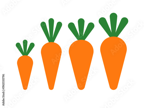 Stylized orange carrots with green tops arranged in increasing size a white background