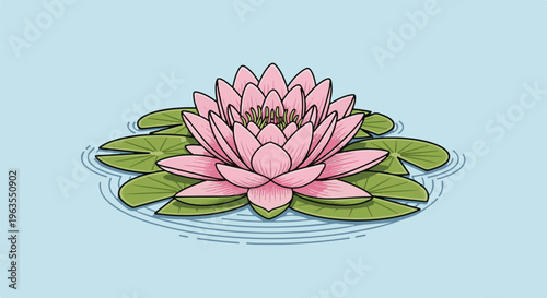 Pink water lily with green leaves floats on serene blue water
