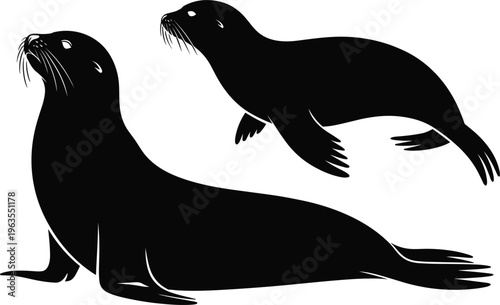 Seal silhouette vector collection, black marine animal icons isolated on white background for design