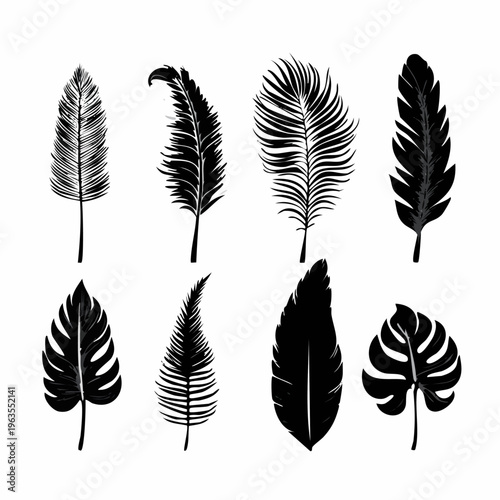 Collection of various black feathers.