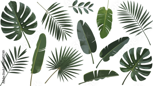 Repeating tropical foliage pattern with monstera palm fronds and banana leaves clean geometric style seamless line art vector illustration