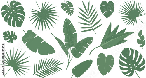 Repeating tropical foliage pattern with monstera palm fronds and banana leaves clean geometric style seamless line art vector illustration