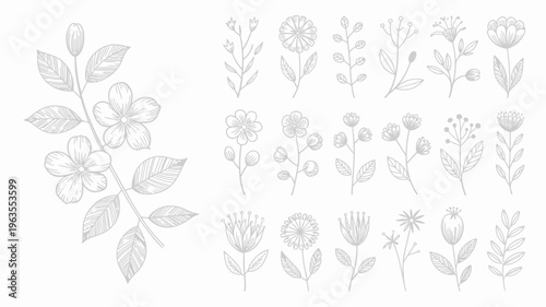 A collection of delicate hand drawn floral illustrations featuring various wildflowers leaves and botanical elements in a minimalist style high quality professional detailed modern elegant stylish