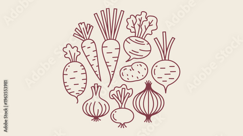 A circular arrangement showcases a variety of root vegetables illustrated in a simple reddish brown line art style on a cream background high quality professional detailed