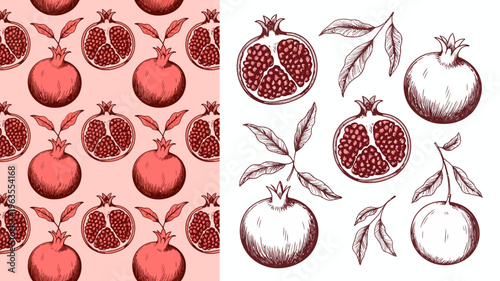 A vintage style illustration depicts pomegranates with leaves presented as a repeating pattern and individual botanical drawings high quality professional detailed modern elegant stylish clean crisp