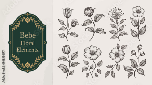 An elegant design showcases a collection of delicate floral illustrations alongside a decorative frame with the text Bebe Floral Elements high quality professional detailed modern stylish
