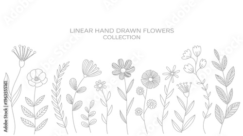A collection of delicate linear hand drawn flowers and foliage is presented in a simple black and white botanical illustration style high quality professional detailed modern