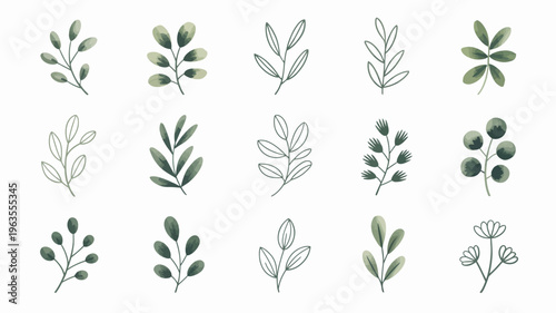 A collection of delicate watercolor leaf and floral illustrations are arranged on a plain white background exhibiting botanical artistry high quality professional detailed modern elegant stylish