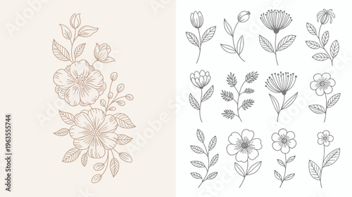 A delicate illustration displays various floral arrangements featuring hand drawn line art of flowers and leaves in muted tones high quality professional detailed modern elegant stylish