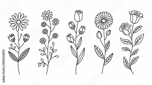 A collection of delicate hand drawn floral stems and buds are arranged vertically against a clean white background showcasing botanical artistry high quality professional detailed modern