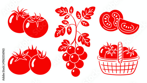 A stylized monochromatic illustration depicts various forms of tomatoes whole sliced and in clusters alongside a basket high quality professional detailed modern elegant stylish clean crisp