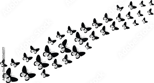 Minimal butterfly silhouette composition in curved diagonal layout with detailed wings clean black and white vector illustration