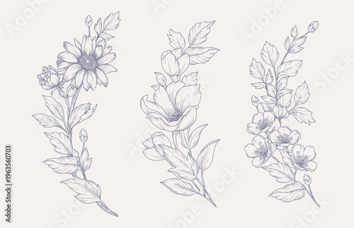 Vintage round frames of flowers, stems and leaves. Hand drawn floral compositions in line art style. Elegant botanical elements. Vector illustration for logo, tattoo, save the date, wedding invitation