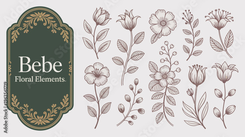 An ornate dark green frame displays the word Bebe alongside delicate floral illustrations of various blooms and leafy stems high quality professional detailed modern elegant stylish