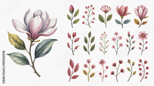 A watercolor illustration showcases a collection of pink and purple magnolia blossoms and various leafy stems artfully arranged high quality professional detailed modern elegant stylish clean