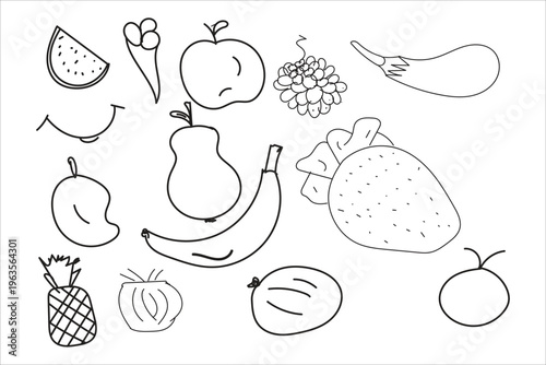 A collection of various fruits illustrations