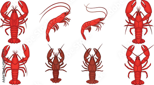 Lobster and shrimp seafood collection with different poses and views in detailed flat cartoon vector marine illustration set