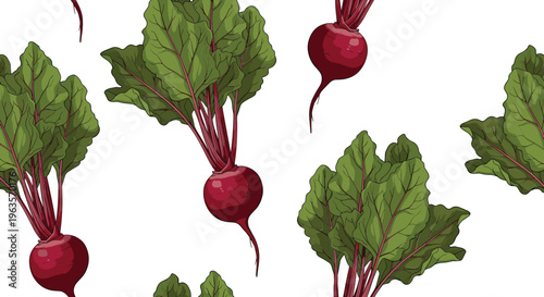 Seamless beetroot pattern with leaves realistic red beet vegetables organic food background repeating vector illustration