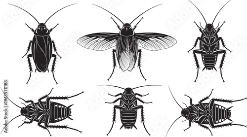 Diverse cockroach silhouette collection featuring flying and crawling insects in various top and bottom views cad drawing flat vector illustration minimalist silhouette for pest control