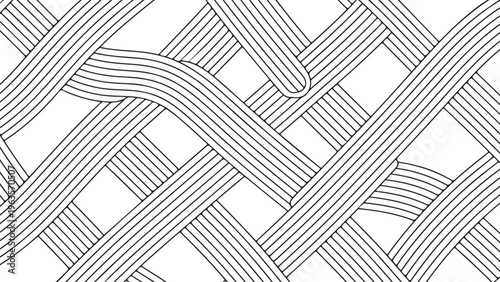 A close up view of a monochromatic black and white woven textile pattern with intersecting lines.