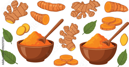 Turmeric root and powder set with slices leaves and bowls organic spice ingredient herbal vector illustration
