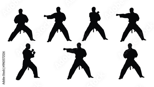 Martial arts silhouette postures