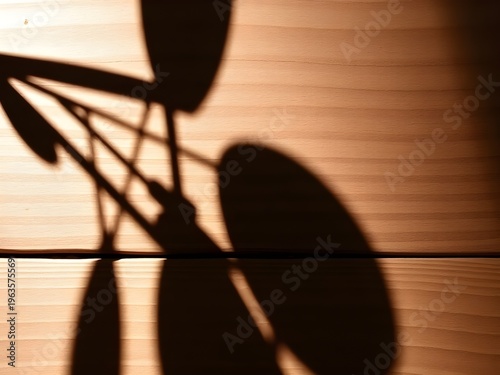 A shadow of a bicycle on a wooden surface in sunlight