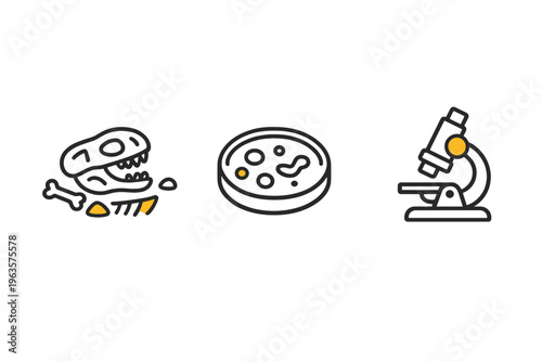 Scientists study fossils and microorganisms in the laboratory to understand ancient life and evolution through research and examination