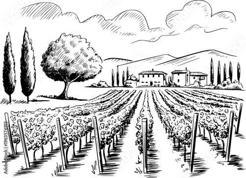 Of a Tuscan vineyard with rolling hills cypress trees and farmhouses tuscany rural