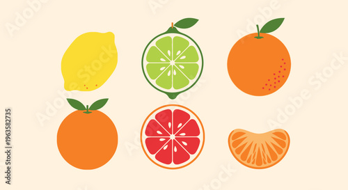 Assorted Citrus Fruits Collection: Lemon, Lime, Orange, Grapefruit, Mandarin Slice