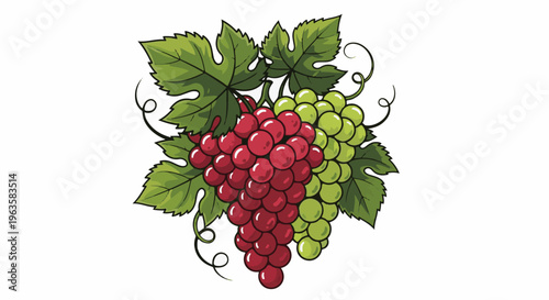 Bunch of red and green grapes with leaves and tendrils