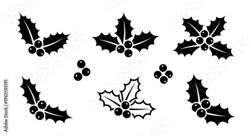 Collection of black holly leaves with berries, isolated on white background