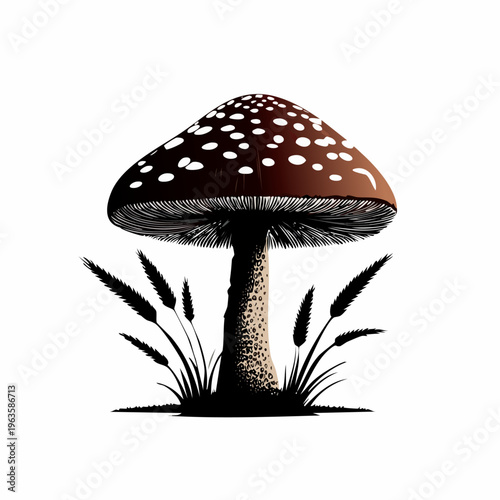Detailed Illustration of Amanita Muscaria Mushroom.