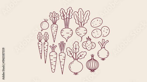 A collection of hand drawn root vegetables including carrots beets radishes onions and turnips are arranged in a circular pattern high quality professional detailed modern elegant