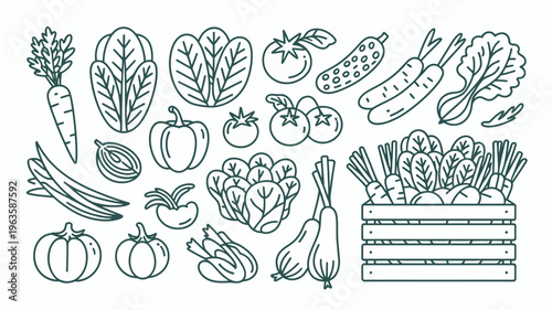 A collection of hand drawn vegetables including lettuce carrots tomatoes peppers and pumpkins are arranged in a minimalist style high quality professional detailed modern elegant stylish