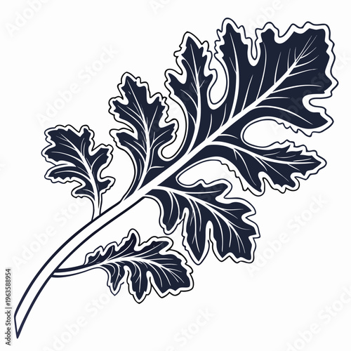 ethiopian kale silhouette on white background