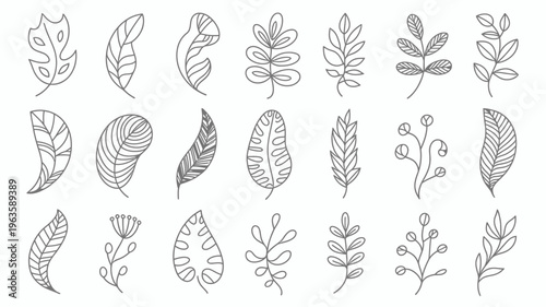 A collection of delicately drawn botanical sketches featuring various leaf shapes and floral elements in a minimalist style high quality professional detailed modern elegant stylish clean