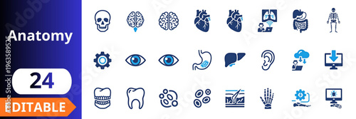 Anatomy medical flat icons set. human skull, brain organ, heart anatomy, lungs system, digestive organs, skeleton body, eye vision, ear hearing, medical tools