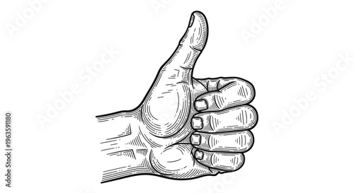 Detailed hand showing a thumbs up gesture, vintage line art illustration, isolated white background.