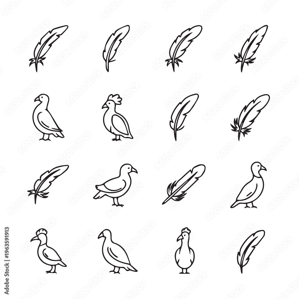 Fototapeta premium Bird Icons and Feather Illustrations Minimalist Line Art Style Isolated on White Background